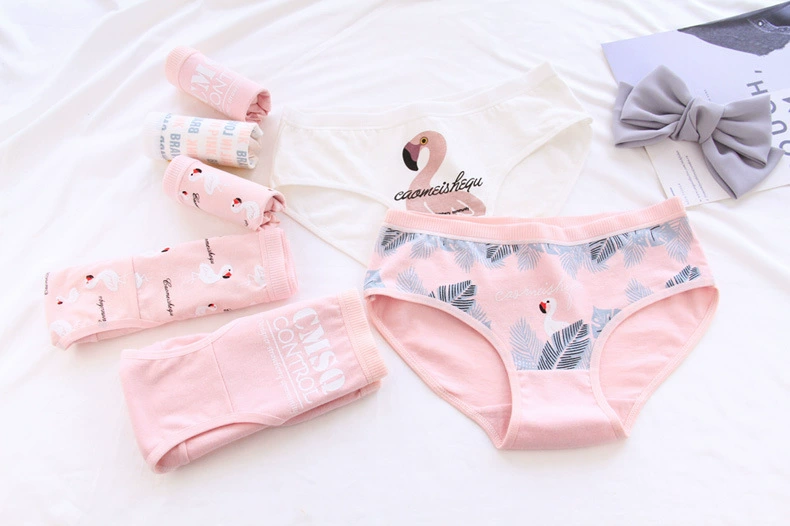 Quần lót màu hồng flamingo nữ cotton giữa cao nữ cotton tam giác quần đáy quần cô gái quần lót