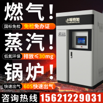 Gas steam generator 0 5-2 tons large industrial food brewing electroplating factory fully automatic steam boiler