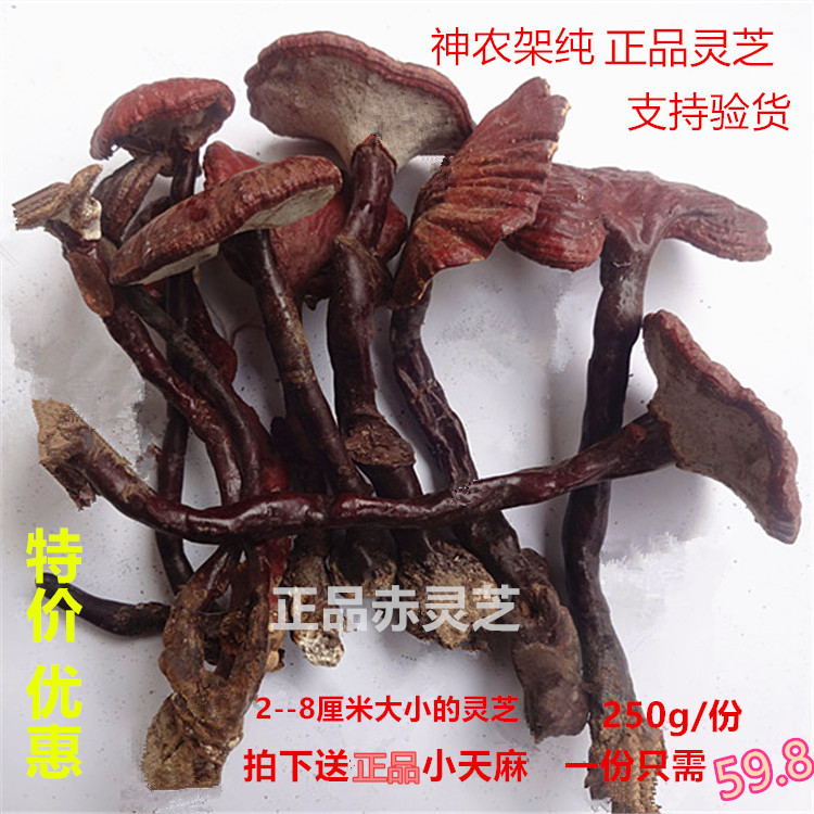 Shennongjia pure wild Ganoderma lucidum tablets whole purple Ganoderma lucidum tea dried goods Ping cover Ganoderma lucidum red Ganoderma lucidum whole special grade