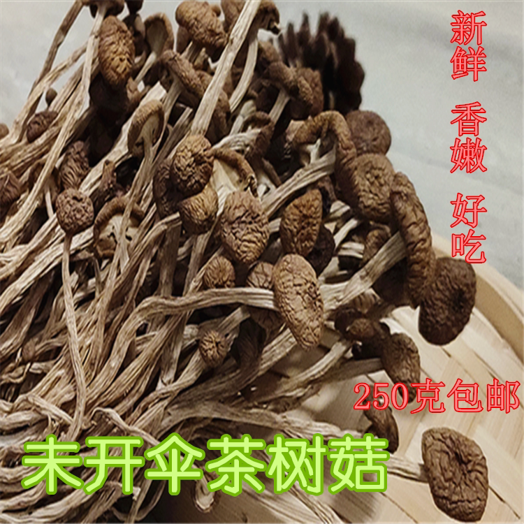 Special Tea Tree Mushrooms Sky Dry Goods Not Open Umbrella 250g Fresh Alimentarius Mushrooms to be produced in bulk