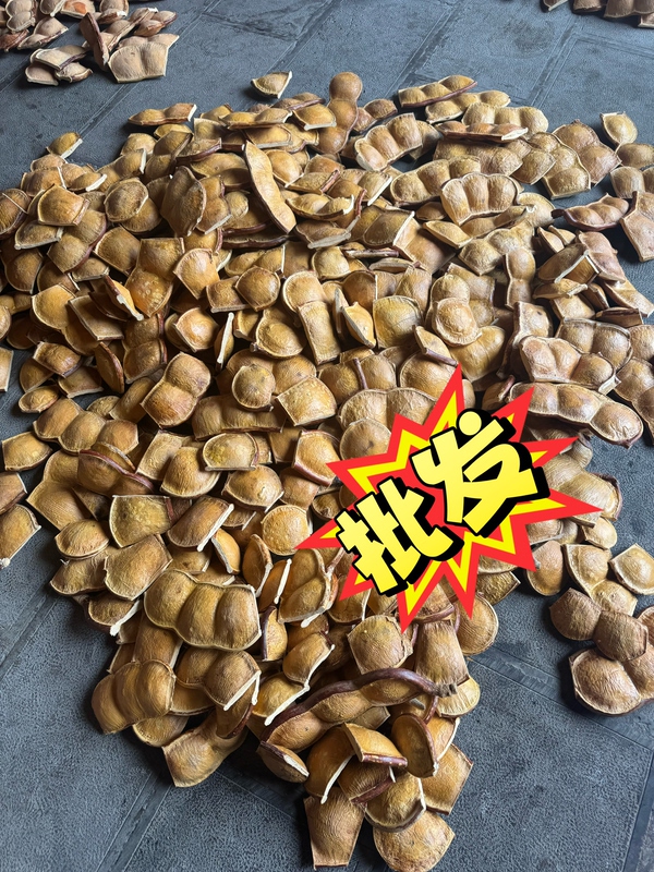 Handmade Bean Pods DIY Materials, School Crafts, Wholesale for Craft Stores