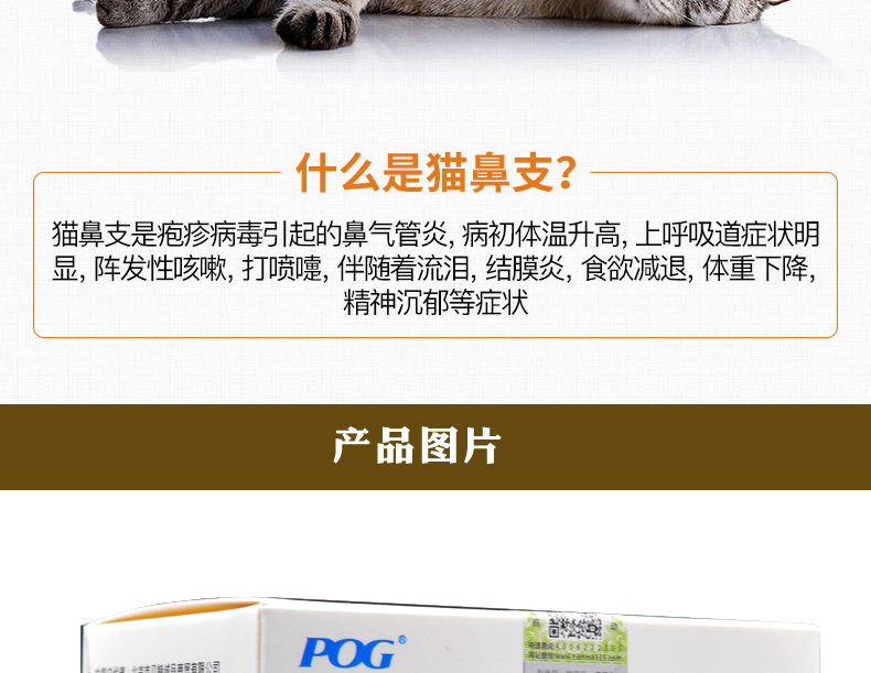 Lysine catamine bột mèo bột mèo lysine mèo axit amin mũi mèo bột mèo lạnh mũi - Cat / Dog Health bổ sung sữa mèo sơ sinh
