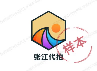 张江代拍