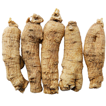 Northeast Changbai Mountain Soft Branch American Ginseng Flower Ginseng