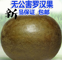 Extra large selection of Luo Han Guo Guilin Yongfu special Luo Han Guo tea special price a batch of 10