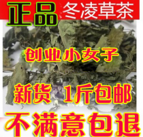 Wild Chinese herbal medicine shop Lingcao tea ice grass June order 500g Chinese Herbal Medicine Collection