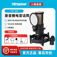 797 Профессиональный микрофон, аудио книга, оборудование, картхолдер, комплект, со звуком