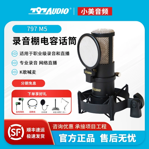 797 Профессиональный микрофон, аудио книга, оборудование, картхолдер, комплект, со звуком