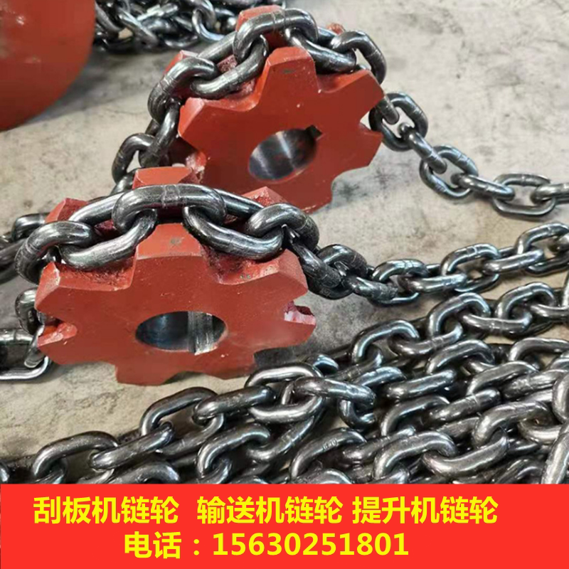 Set made squeegee conveyor chain wheel bucket type lifter sprockets 40T squeegee machine sprockets Industrial Squeegee machine sprockets