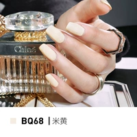 BQ68 Leibai/Beige [Paint Light Text]