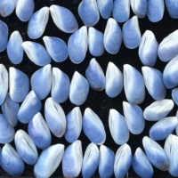 Синие мидии 2-3 см. Натуральная коллекция оболочки Отправить друзья каждый цвет случайным образом отличается