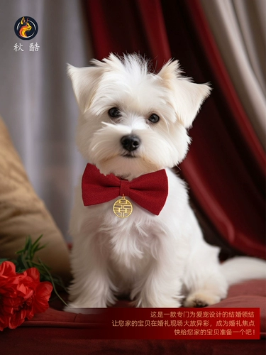 Dahong Hi персонаж Pet eck eck nece chight cat и собака универсаль