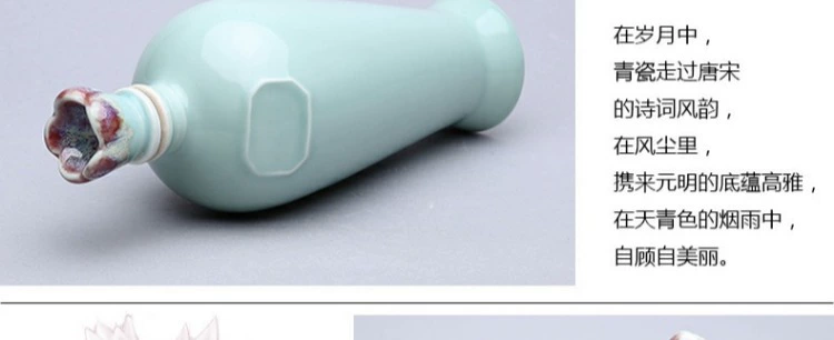 苑 jar Bình gốm nửa tải niêm phong chai rượu rỗng có nắp gốm lò nung thay đổi chai nhỏ ly uống rượu nhỏ