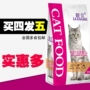 Mussel Beef Salmon Cat Food 500g Mua Bốn Gói với Quà tặng Mua thêm Quà tặng Tiết kiệm Thêm - Cat Staples Các loại pate cho mèo