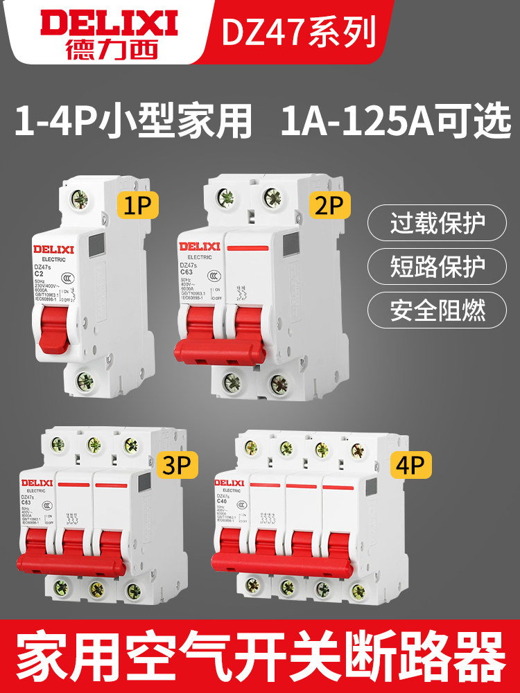 Delixi 1P Circuit Breaker 2P Household 32A 63A Three-Phase 3P Circuit Breaker Dz47S 4P Circuit Breaker 100A Switch