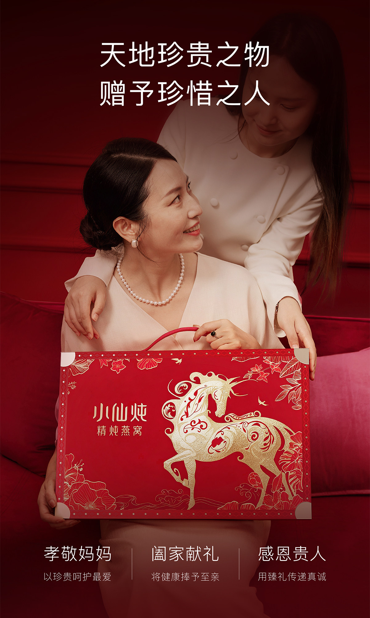 Premium Stewed Bird's Nest Dragon Horse Well-Being Nutritional Gift Supplement Sugar-Free 40g*8 bottles