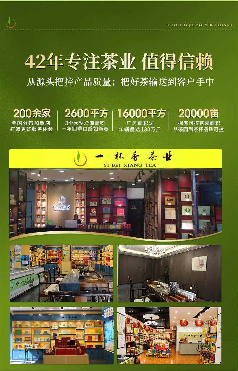 【中國直郵】 一杯香 碧螺春 蘇州明前茶葉綠茶禮盒裝2025新茶濃香自己喝 250g