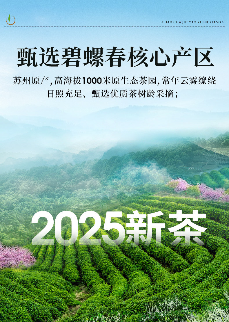 【中國直郵】 一杯香 碧螺春 蘇州明前茶葉綠茶禮盒裝2025新茶濃香自己喝 250g