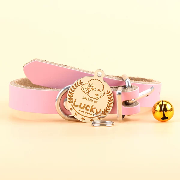 Товары от 嗨心宠宠物用品专营店