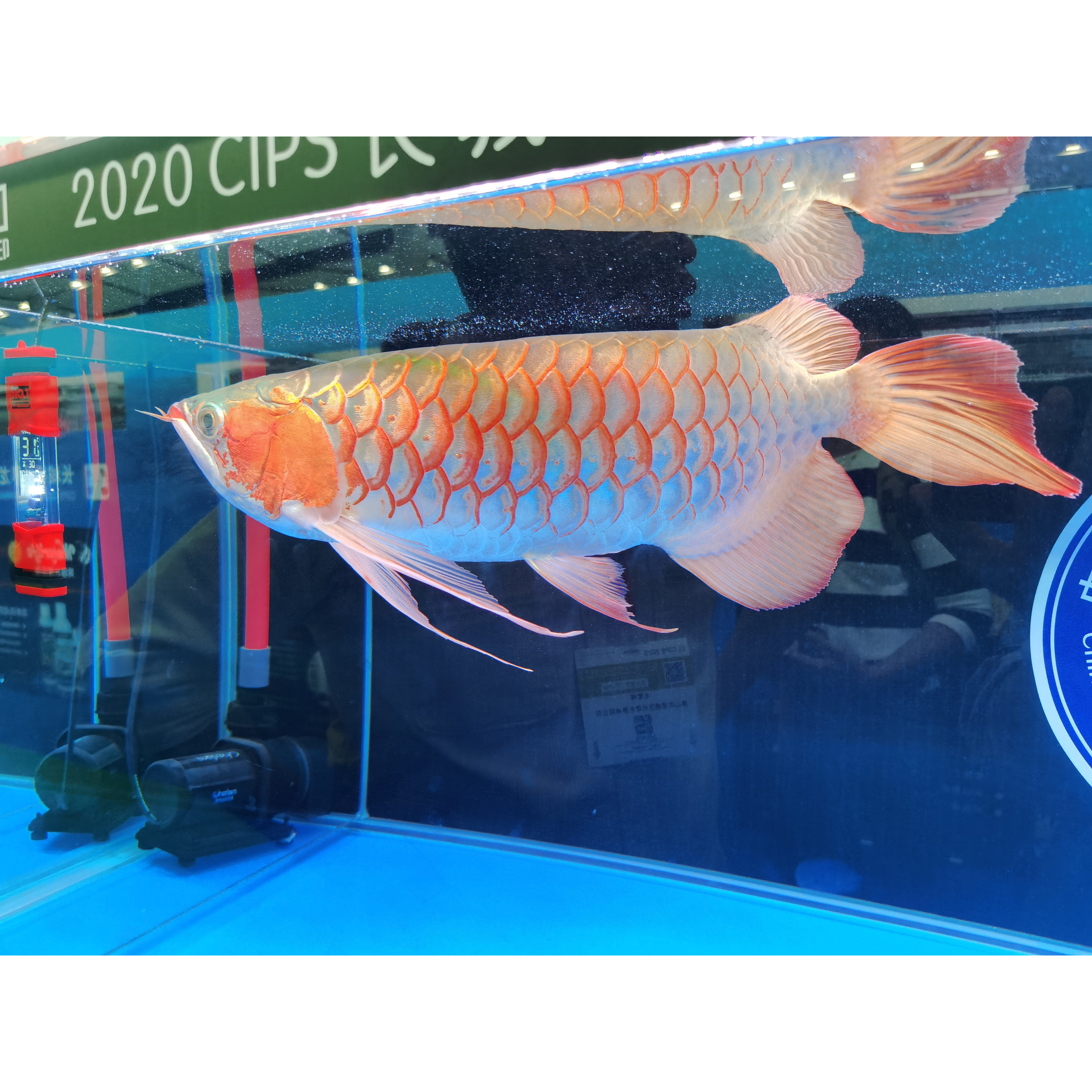JaBo松诺工厂水族用品批货