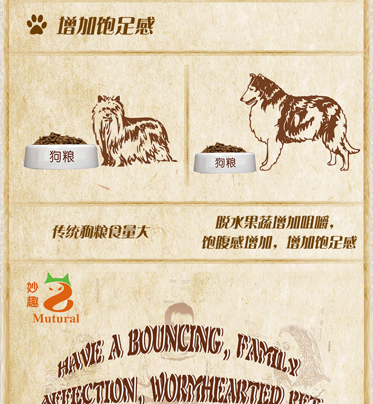 Tuyệt vời chó trưởng thành lớn thịt bò hương vị thịt bò schnauzer hạt chính lông sáng để nước mắt trái cây và thực phẩm rau - Chó Staples hạt zenith