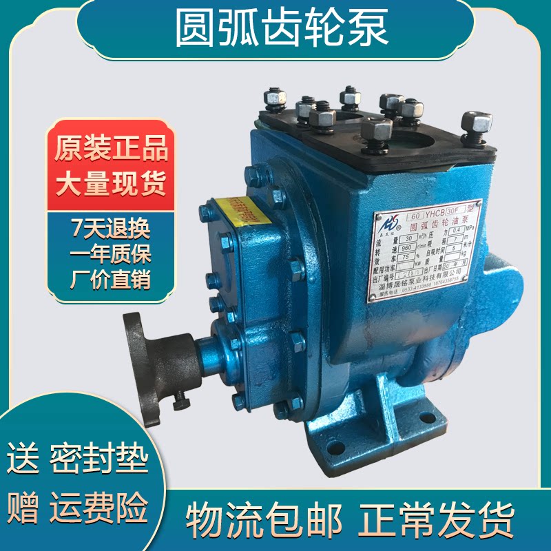 Arc gear pump 60YHCB-30 tank unloading explosion-proof oil pump gasoline and diesel pump Lubricating oil pump methanol ethane