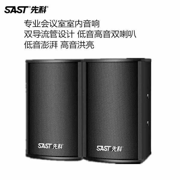 SAST Sashchenko K5 Card Pack KTV Sound professional conference speaker Home Karaoke high-end 8 inch 10 inch to box