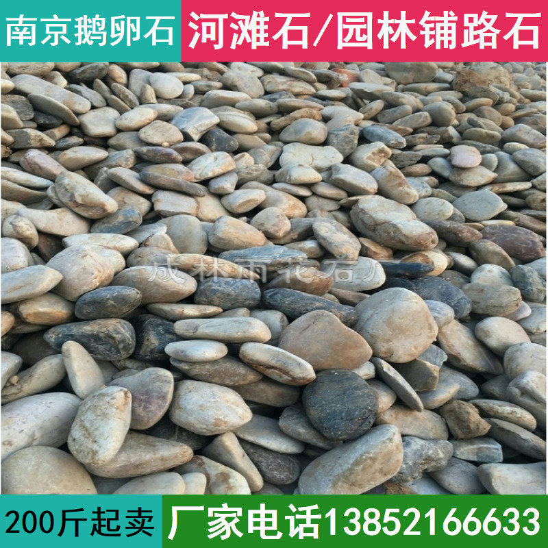 Nanjing River Beach Stone River Boulder Pebble cobblestone Rain Flower Stone washed stone Courtyard Landscaping Paving Stones