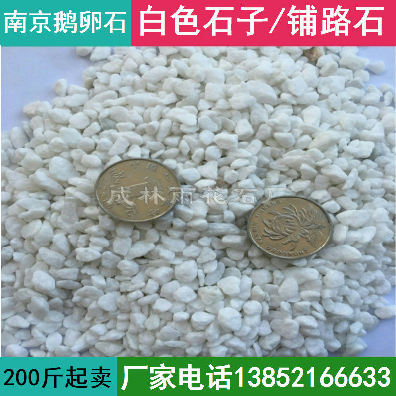 Nanjing natural white pebble white stone rain flower stone washed stone gravel courtyard garden paving white stone