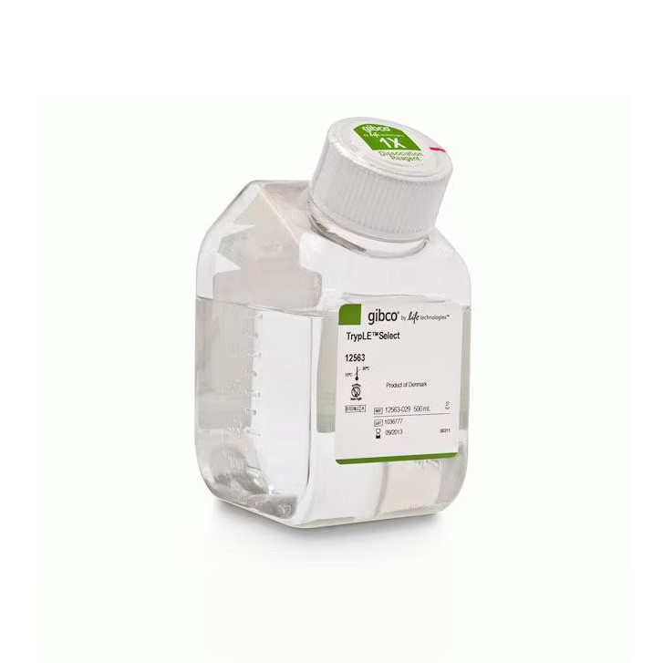 Gibco 12563029 TrypLE? Select 酶 (1X)无酚红 Green features