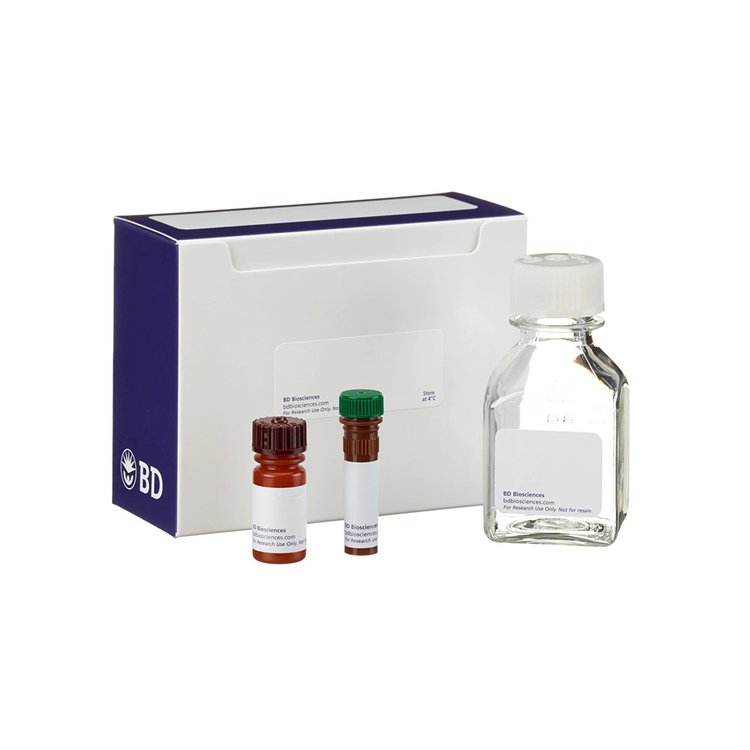 BD Pharmingen 556547 Annexin V-FITC 细胞凋亡检测试剂盒 100T