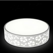 Chongqing main city bag installation round modern simple wrought iron living room bedroom study balcony led ceiling lamp