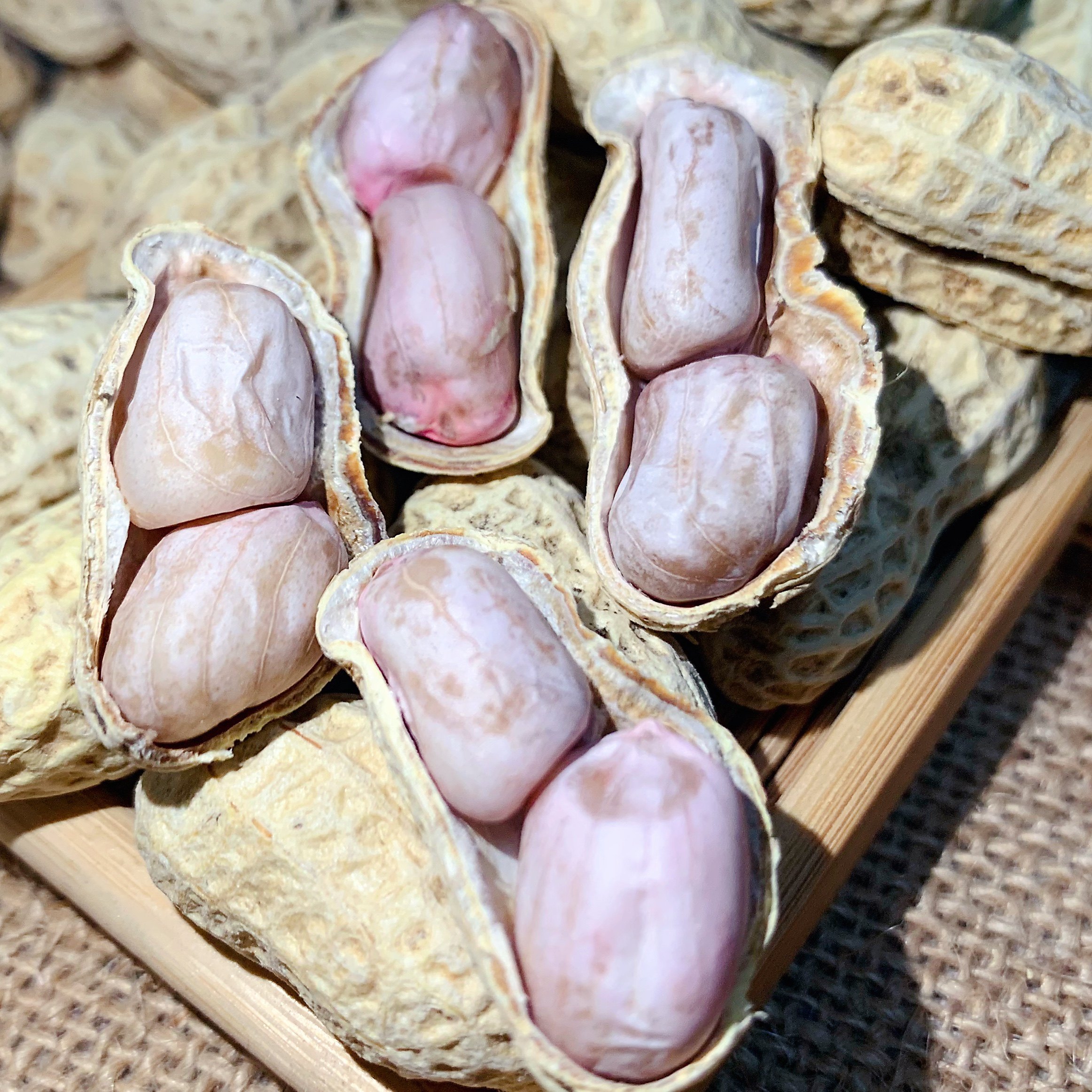 Five catty clothes 2022 Guangdong water cooking peanut original flavor farmyard salted brine natural white sunburn dried peanut snacks