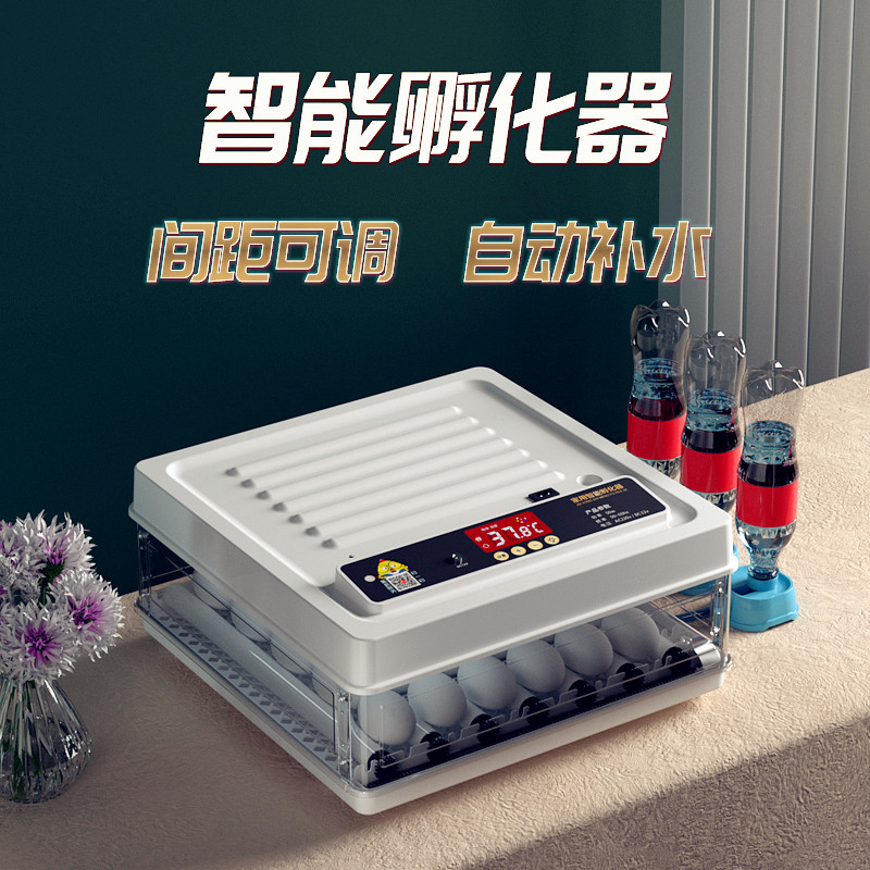 Weiqian incubator small home incubator fully automatic intelligent mini bird incubator rutin chicken incubator