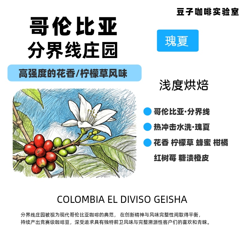 【2026 Harvest Season】Colombian Gesha Light Roast Hand-Brewed Coffee Beans Coffee Powder Beans Coffee Lab
