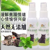 Toy kittens are excited soothe and soothe their emotions wood polygonum amuse cats catnip perfume powder anti-stress inducer