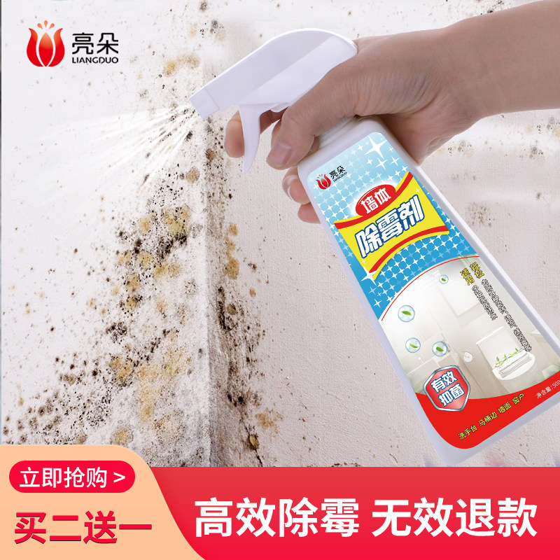 Buy Wall mold remover home furniture wall mold removal best tool to