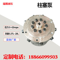 Ultra high pressure piston pump 60-120MPa Axial piston pump Radial electric piston pump RK piston pump