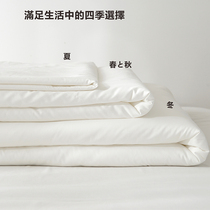 (Rich Mountain Strawberry) Export Japan Five-star Hotel Summer Cool Quilt Core Air Conditioning Quilt by Double Winter by Spring and Autumn Quilt