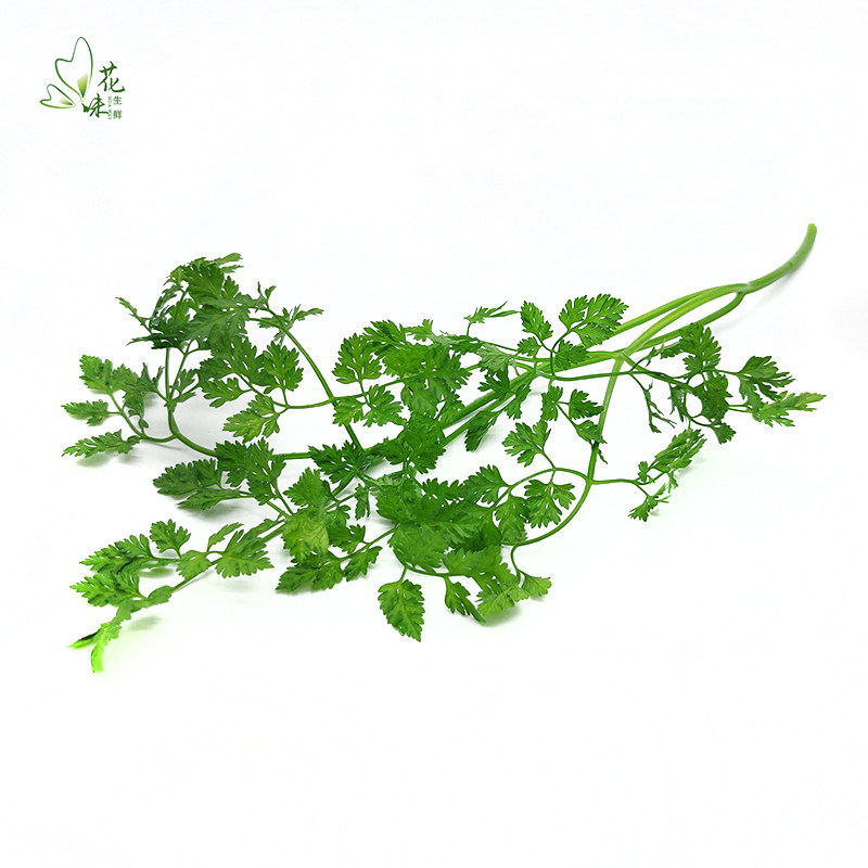 新鲜细叶芹=西餐灵魂?雪维菜真能点亮摆盘?-叶菜类-淘宝百科网