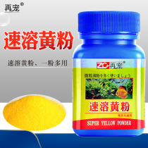 Favor Japanese yellow powder aquarium fish tank sterilization and disinfection tropical fish ornamental fish medicine koi goldfish white spots clean up rotten tail