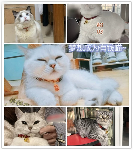 Колокольчик, милый чокер, регулируемый аксессуар, ожерелье, домашний питомец, кот, на удачу