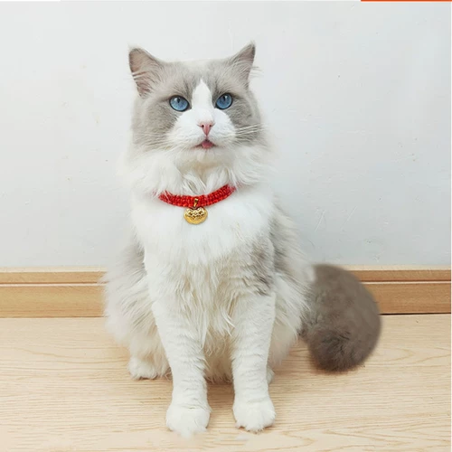 Чокер ручной работы, аксессуар, регулируемое ожерелье, цепочка, замок долголетия