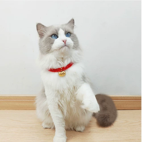 Чокер ручной работы, аксессуар, регулируемое ожерелье, цепочка, замок долголетия