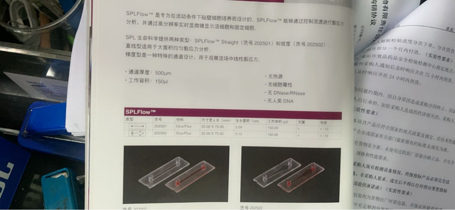 SPLFlow? 流动条件下贴壁细胞培养