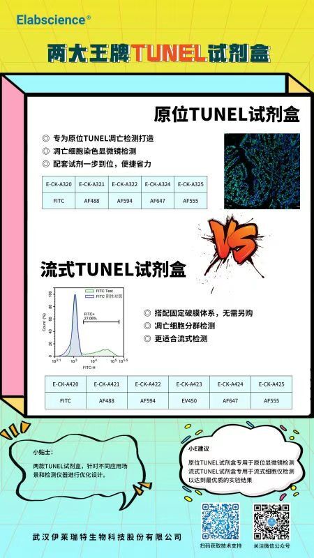 elabscience 流式Tunel&amp;原位Tunle 细胞凋亡检测全满足