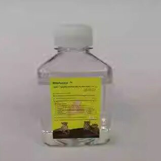 Tanon 8006-6006 Biofuraw 快速转膜缓冲液10X