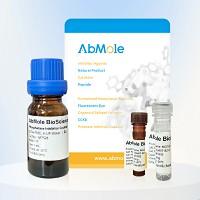 AbMole快速BCA蛋白定量试剂盒  M21604 50T