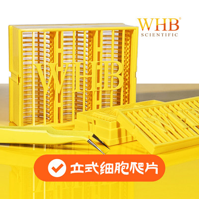 WHB-24-VCS  TC处理24孔板立式细胞爬片，灭菌