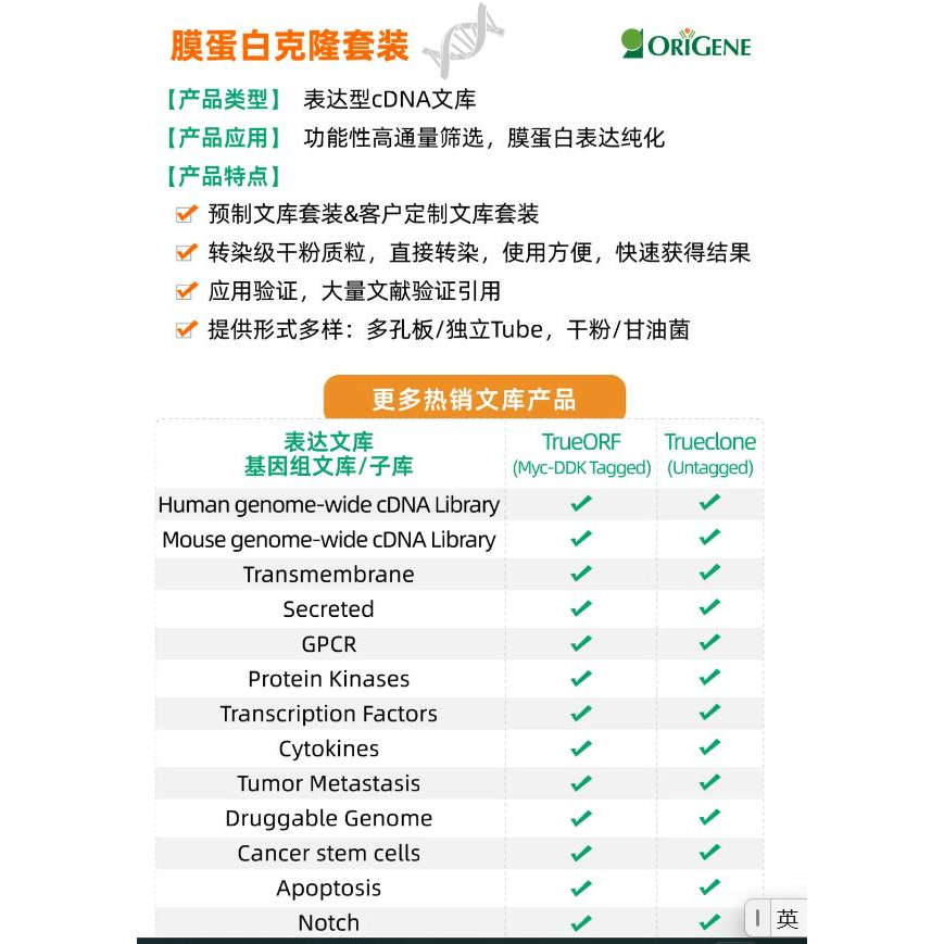 ORIGENE 膜蛋白cDNA表达文库功能性筛选